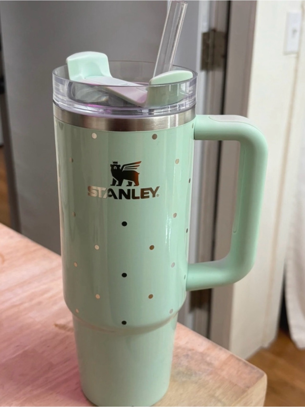 Stanley Mint Green Polka Dot Insulated Travel Mug with Handle